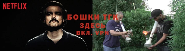 apvp Аркадак