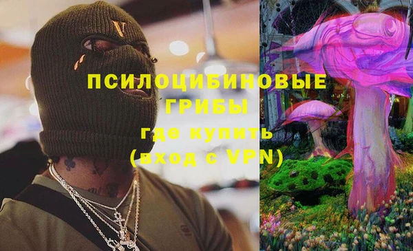 apvp Аркадак