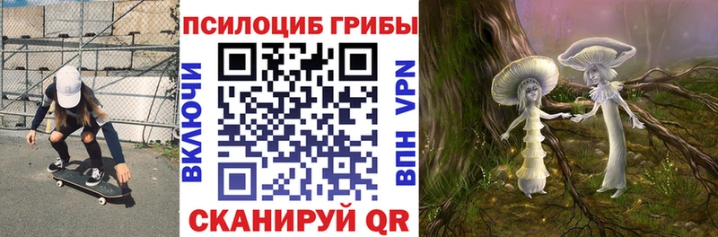 Галлюциногенные грибы мицелий  Купить где  Малоархангельск 
